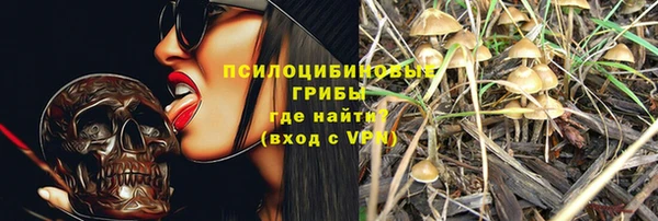 apvp Алексин