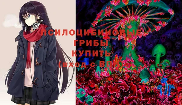 apvp Алексин