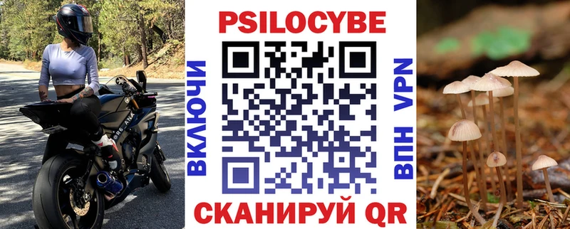 Галлюциногенные грибы Psilocybe  Артёмовский 